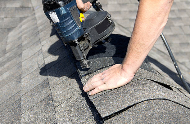 Best Roof Moss and Algae Removal  in Lorado City, CO